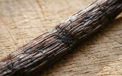 Comment reconnaître une gousse de vanille de qualité ?